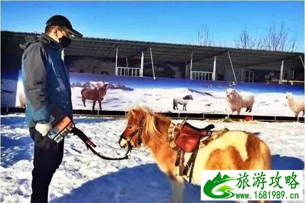 2022~2020北京国际鲜花港冰雪文化节 门票+持续时间 2022~2020北京国际鲜花港冰雪文化节 门票+持续时间