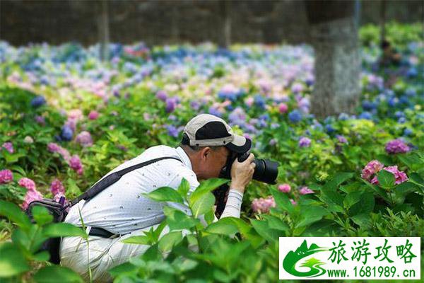 南京绣球公园简介 南京绣球公园地址