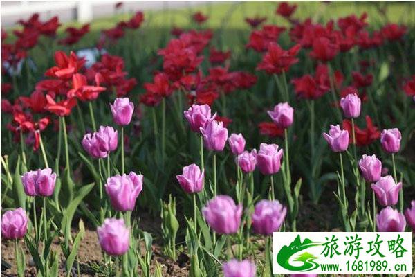 南京玄武湖情侣园停车场收费 停车指南