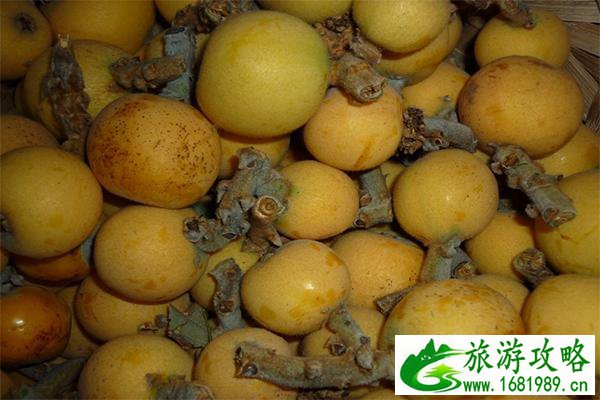 苏州东山枇杷跟西山枇杷哪个好