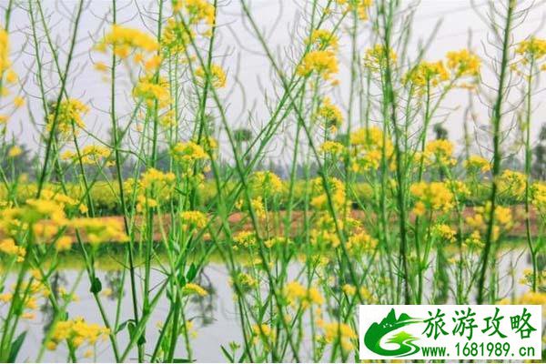 ​佛山渔耕粤韵旅游文化园停车位置在哪儿