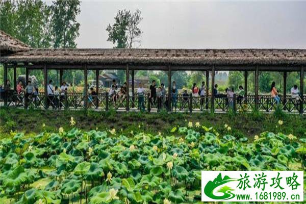 南京池杉湖湿地公园门票 荷花展信息2020