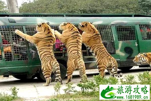 北京春季周边自驾游好去处