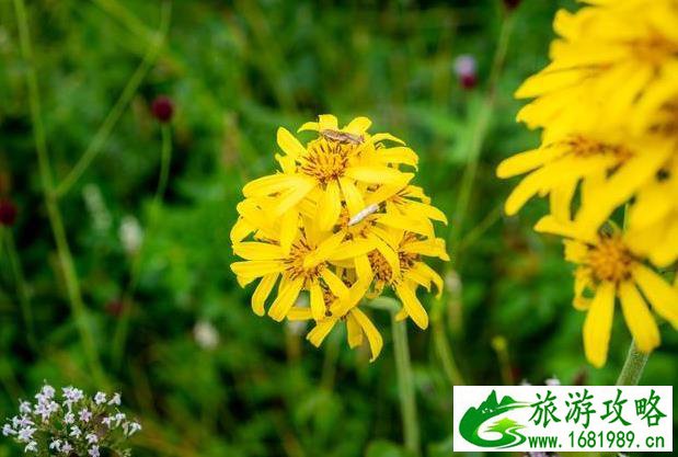 北京周边2日自驾游攻略 北京周边2日自驾游攻略