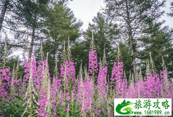 北京周边2日自驾游攻略 北京周边2日自驾游攻略