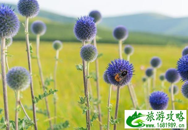 北京周边2日自驾游攻略 北京周边2日自驾游攻略