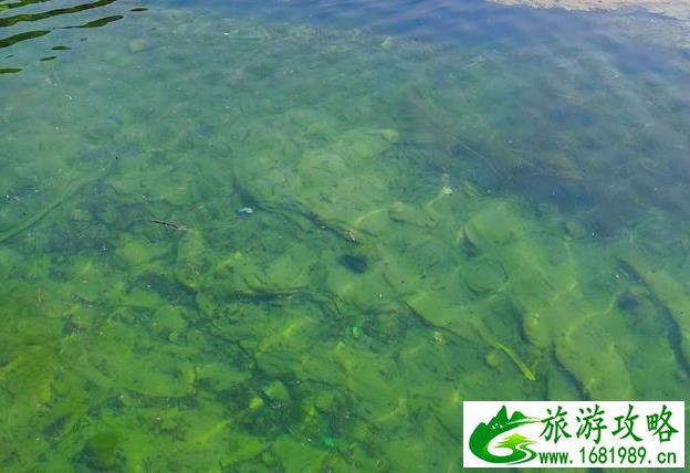 北京天门谭月景点介绍