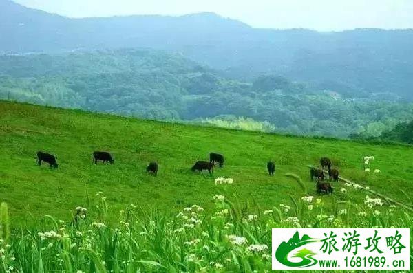北京去丰宁坝上草原自驾游攻略 北京去丰宁坝上草原自驾游攻略