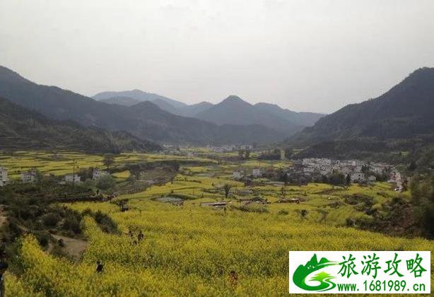 从北京到婺源旅游攻略 从北京到婺源旅游攻略