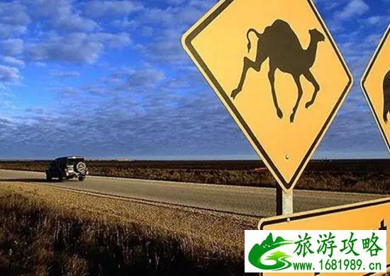澳大利亚租车网站有哪些