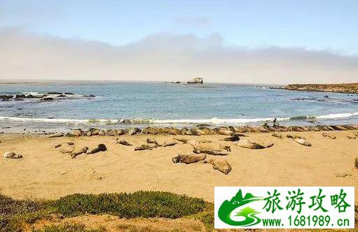 美国自驾游攻略 美国自驾游注意事项 美国自驾游攻略 美国自驾游注意事项