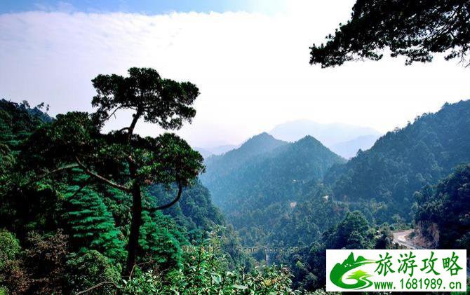 深圳周边自驾游推荐 深圳周边自驾游景点 深圳周边自驾游推荐 深圳周边自驾游景点