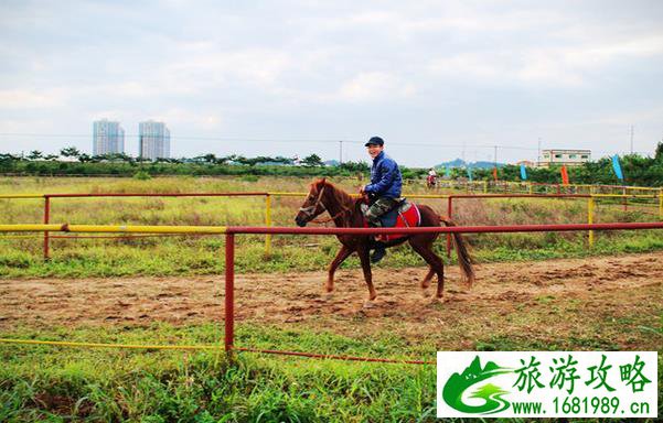 深圳周边自驾游推荐 深圳周边自驾游景点 深圳周边自驾游推荐 深圳周边自驾游景点