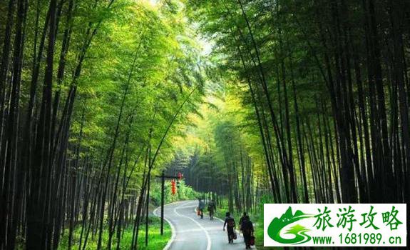 深圳周边自驾游推荐 深圳周边自驾游景点 深圳周边自驾游推荐 深圳周边自驾游景点