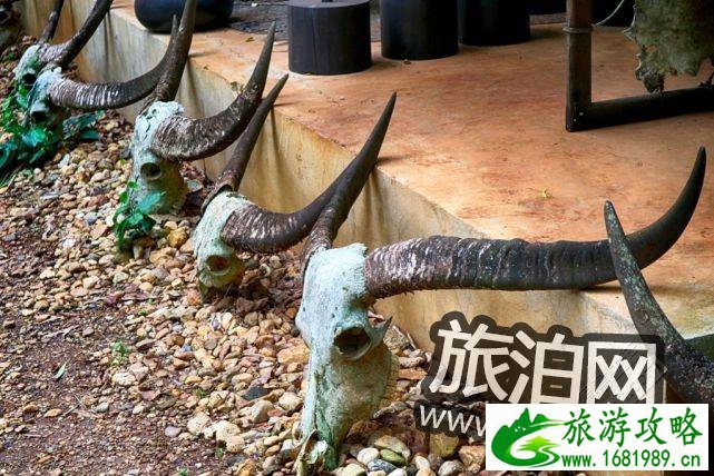 泰国蜜月自由行清迈普吉岛攻略