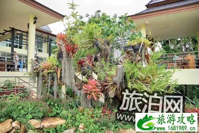 泰国蜜月自由行清迈普吉岛攻略