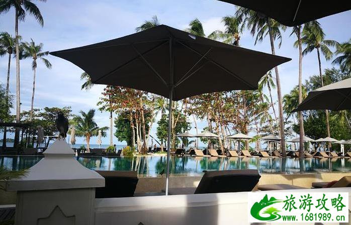 2022泰国象岛自助游攻略 2022泰国象岛自助游攻略