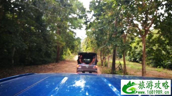 2022泰国象岛自助游攻略 2022泰国象岛自助游攻略