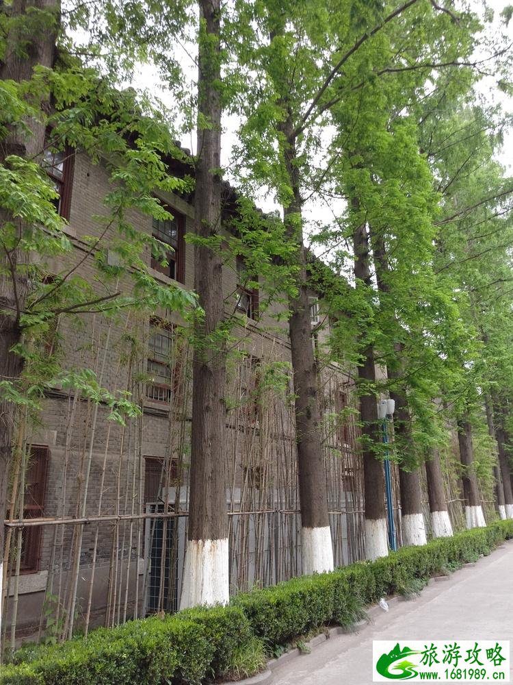 南京三日游最佳路线 南京三日游旅游攻略 南京三日游最佳路线 南京三日游旅游攻略