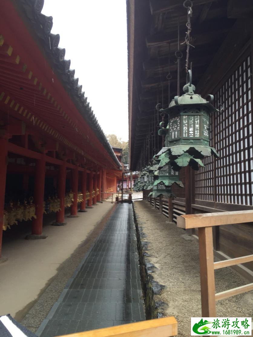 日本六日游攻略