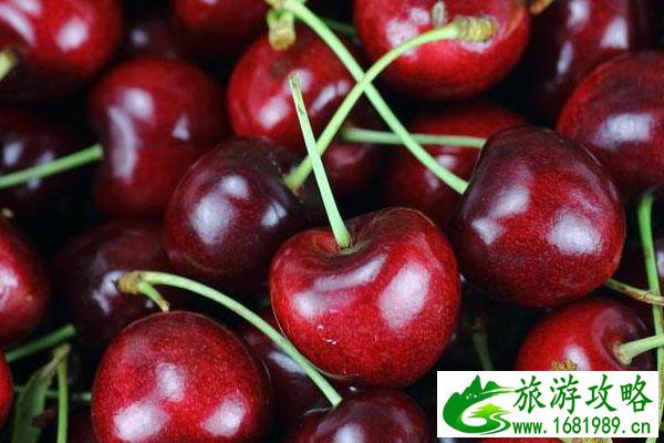 ​重庆有没有摘车厘子的地方 什么季节吃好