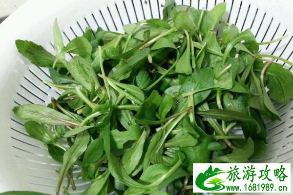 绍兴春季专属美食 绍兴春季美食推荐 绍兴春季专属美食 绍兴春季美食推荐