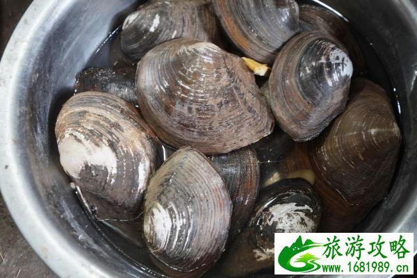 绍兴春季专属美食 绍兴春季美食推荐 绍兴春季专属美食 绍兴春季美食推荐