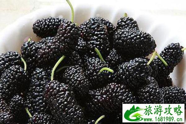 深圳桑葚采摘时间2021 深圳哪里可以摘桑葚 深圳桑葚采摘时间2021 深圳哪里可以摘桑葚