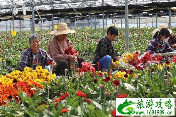 江阴顾山红豆村八大碗都有哪些菜 江阴顾山红豆村八大碗都有哪些菜