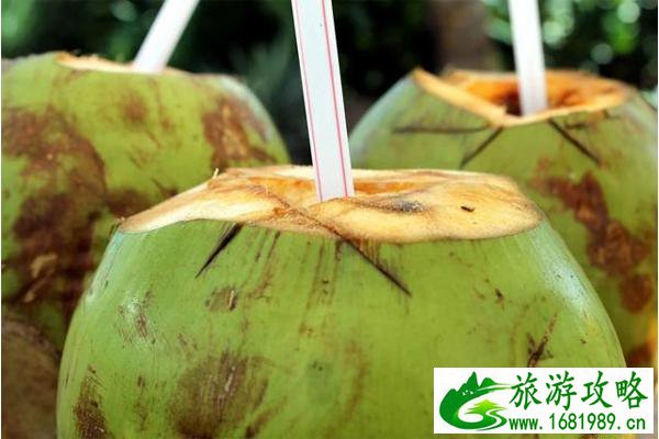 海南椰子多少钱一个 海南椰子怎么吃 海南椰子多少钱一个 海南椰子怎么吃