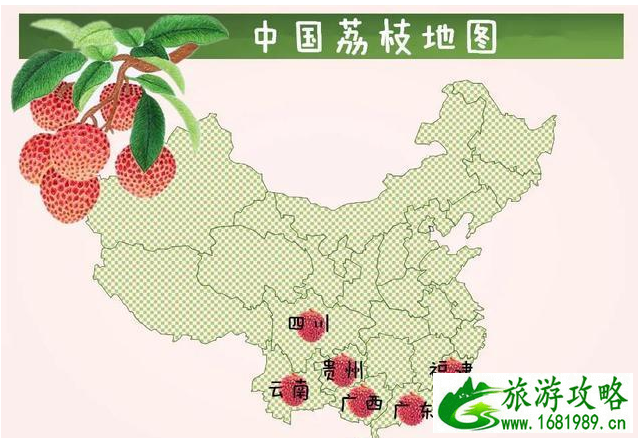 荔枝有哪些品种 各大品种荔枝上市时间