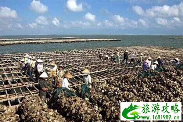 2022钦州蚝情节10月29日开启 附活动时间安排