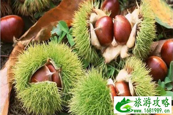 神农架美食有什么