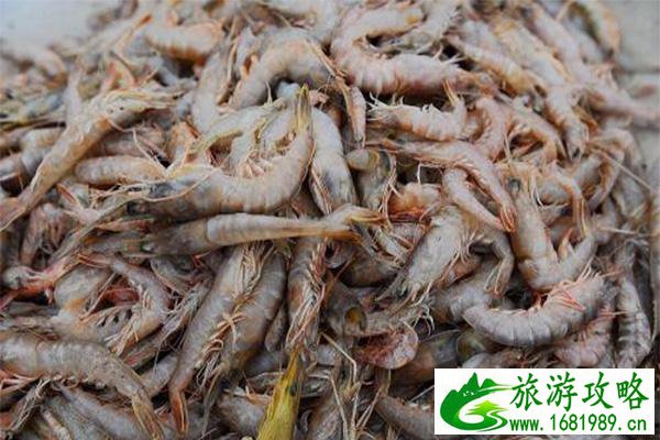 青岛蛎虾什么时候上市 青岛购买蛎虾的地方推荐 青岛蛎虾什么时候上市 青岛购买蛎虾的地方推荐