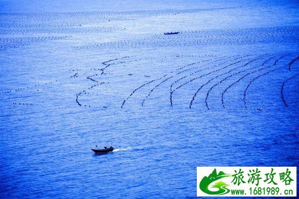 涠洲岛有什么好吃的 涠洲岛美食攻略 涠洲岛有什么好吃的 涠洲岛美食攻略