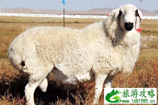 亚布力涮羊肉介绍 亚布力涮羊肉的特色