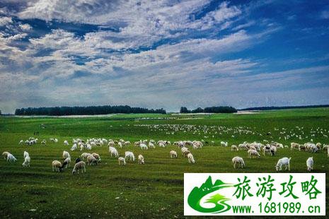 内蒙古有哪些好吃的美食值得推荐 内蒙古有哪些好吃的美食值得推荐