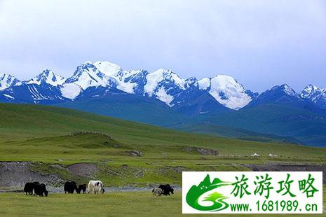 新疆有哪些比较实惠的美食