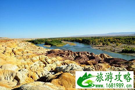 新疆有哪些比较实惠的美食