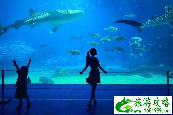 珠海长隆海洋国王有什么好玩的项目推荐 珠海长隆海洋国王有什么好玩的项目推荐
