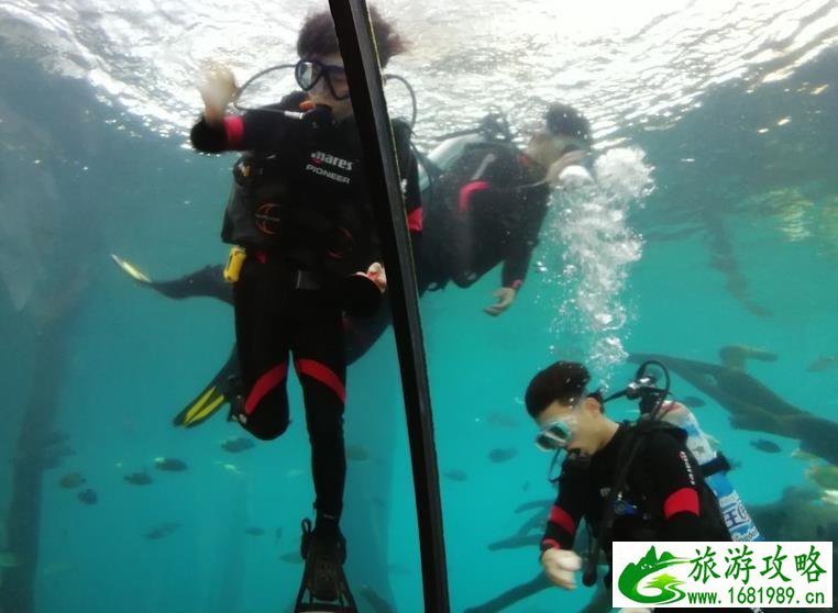 珠海长隆海洋国王有什么好玩的项目推荐 珠海长隆海洋国王有什么好玩的项目推荐