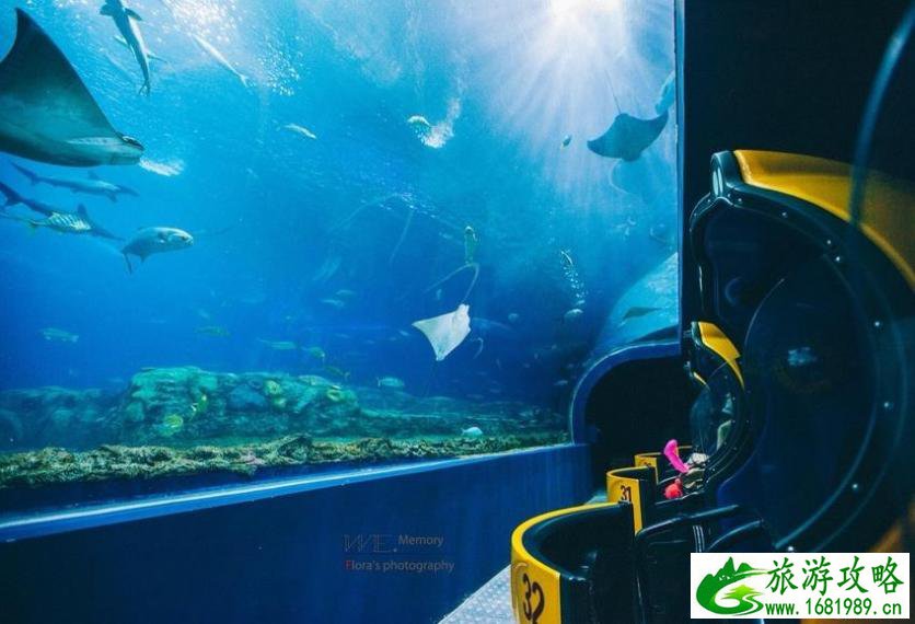 珠海长隆海洋国王有什么好玩的项目推荐 珠海长隆海洋国王有什么好玩的项目推荐