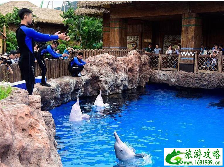 珠海长隆海洋国王有什么好玩的项目推荐 珠海长隆海洋国王有什么好玩的项目推荐