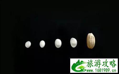 日本清酒跟中国白酒有什么不同