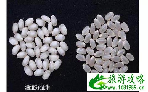 日本清酒跟中国白酒有什么不同
