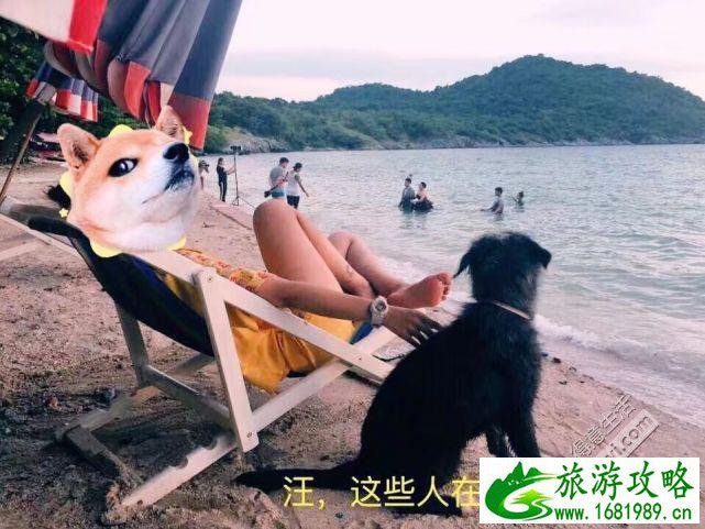 泰国有哪些好吃的美食和特产 泰国有哪些好吃的美食和特产