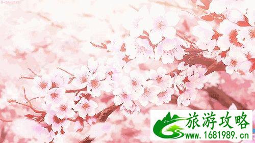 去日本赏樱应该吃什么 日本赏樱美食推荐 去日本赏樱应该吃什么 日本赏樱美食推荐