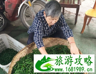 重庆哪家鱼火锅最好吃