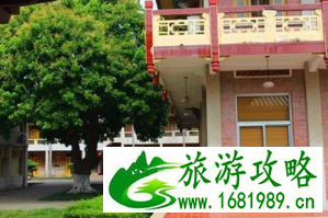 厦门有什么好吃的 厦门美食攻略 厦门有什么好吃的 厦门美食攻略