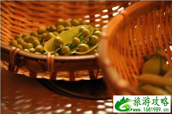 日本民宿哪家比较好 日本民宿哪家比较好